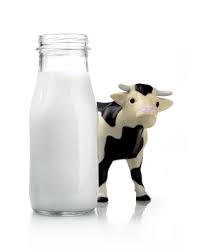 milk and cow