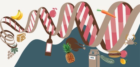 food and dna
