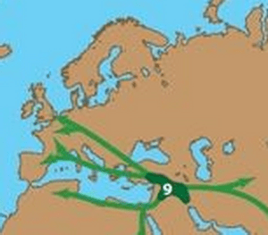 cropped first farmers from anatolia