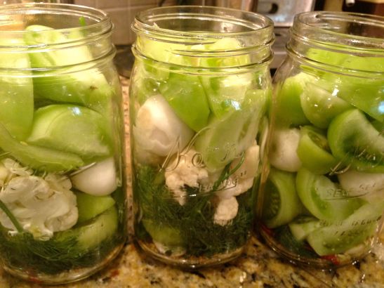 fermented green tomatoes