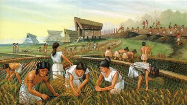 first farmers