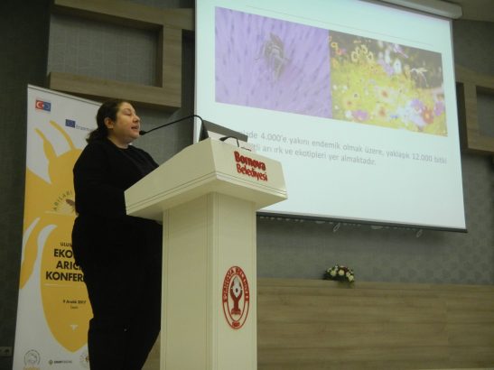 Prof. Dr. Banu Yucel