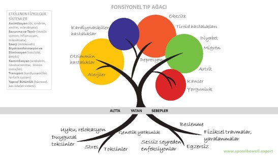 web SPOREL be well Fonksiyonel Tip Agaci