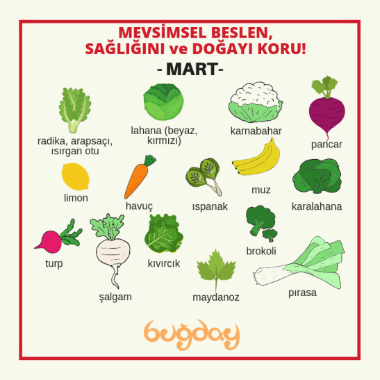 mevsimsel-beslen-mart