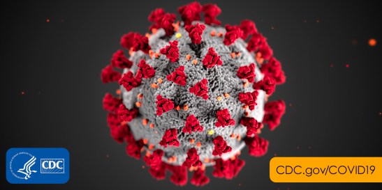 2019-coronavirus
